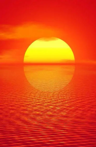 sushruta, samhita, sushrutasamhita, sixth, chapters, therapeutic, mineral, embryology, venesection, 