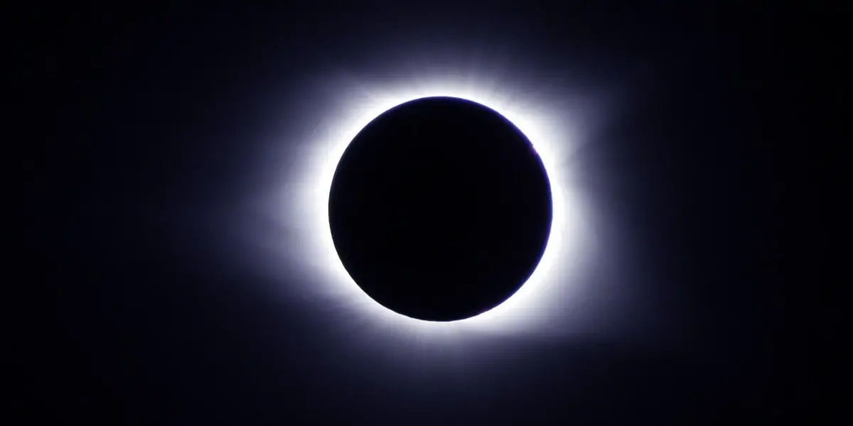 sushruta, samhita, sushrutasamhita, sixth, chapters, therapeutic, mineral, embryology, venesection, 