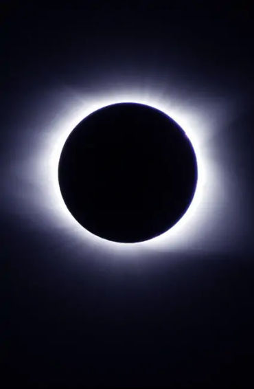 sushruta, samhita, sushrutasamhita, sixth, chapters, therapeutic, mineral, embryology, venesection, 