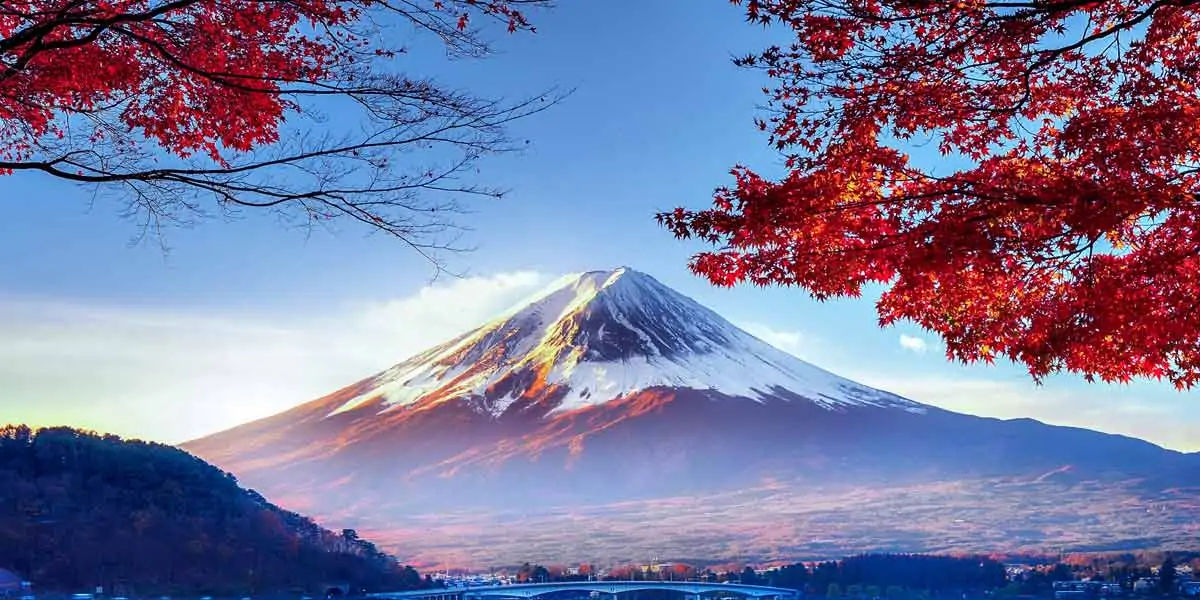 japan facts, facts about japan, janitors in japan, fun facts japan, otaku, japan fun facts 