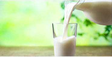 milk day, world milk day, world milk day history, milk day about, milk day quotes