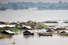 22 districts in Assam flood affected, death toll is 25, 6,50,400 people affected by floods
