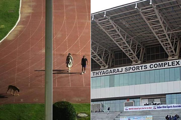 action on the ias couple who roamed the dog in the stadium the ministry of home affairs transferred 