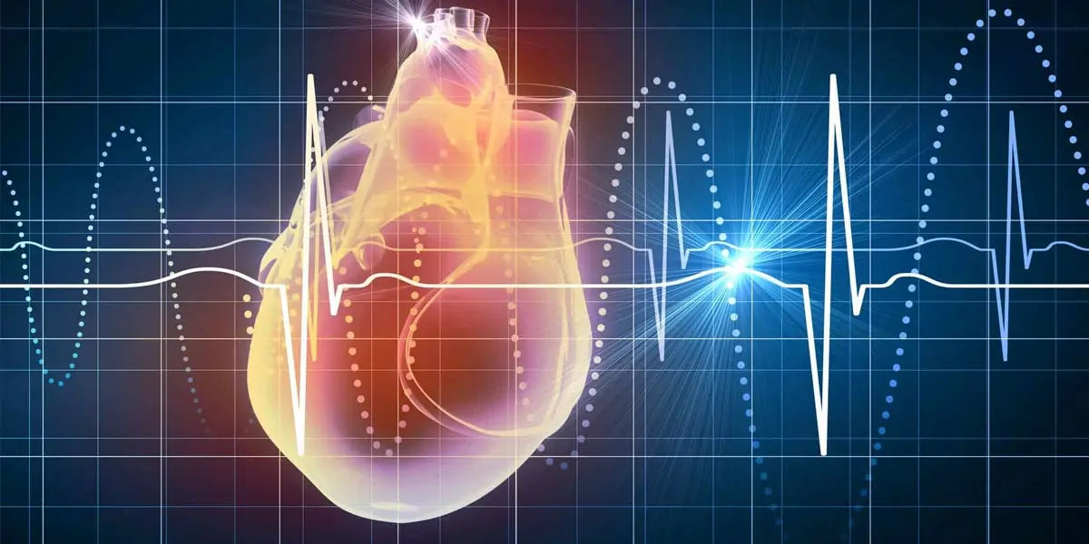 heartbeat, body, blood, heart, pumped, pressure, high