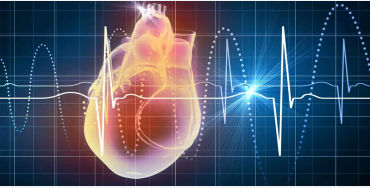 heartbeat, body, blood, heart, pumped, pressure, high