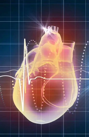 heartbeat, body, blood, heart, pumped, pressure, high