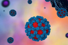 Two cases of norovirus confirmed in Kerala Vizhinjam