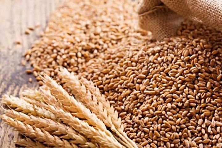 russia selling five lakh tonnes of wheat looted from ukraine to african countries