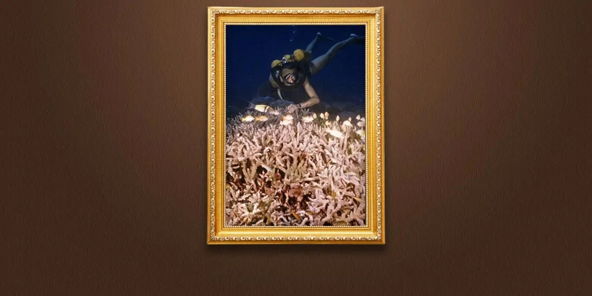 National Geographic underwater photograph