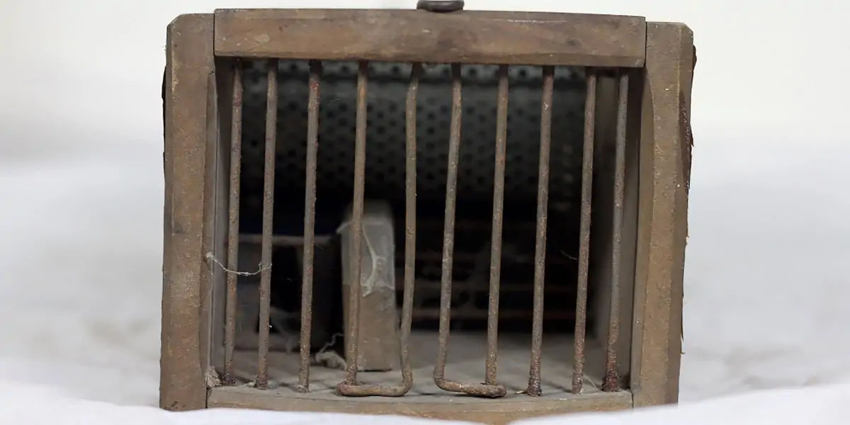 mousetrap, colin pullinger, perpetual mousetrap, lifetime, england museum, trap, mechanism