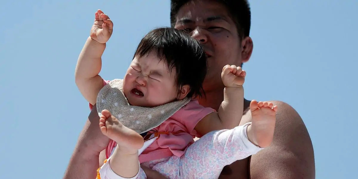 japan, babies, baby, sumo wrestler, mae shinge, parents