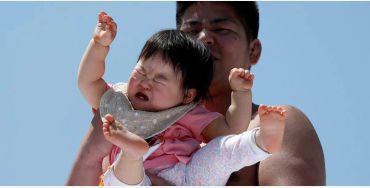 japan, babies, baby, sumo wrestler, mae shinge, parents