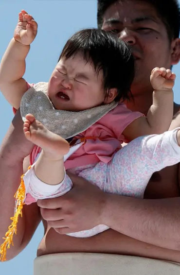japan, babies, baby, sumo wrestler, mae shinge, parents