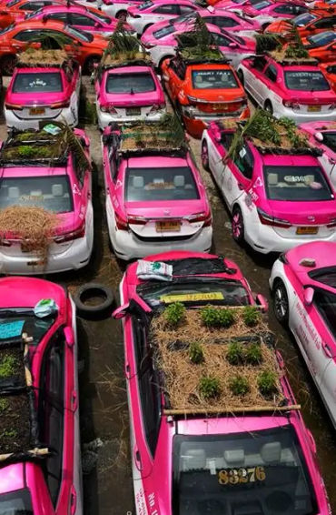 bangkok, bhat, coins, tourist, wat phra kaew, wat saket, wat benjamabophit, wat arun