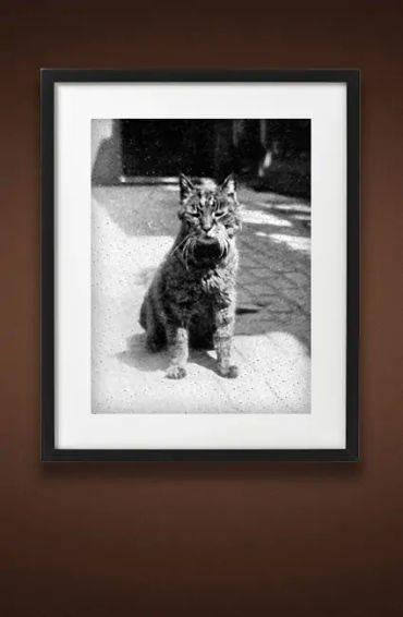 british museum, british museum london, sutton hoo british museum, hokusai british museum, british mu