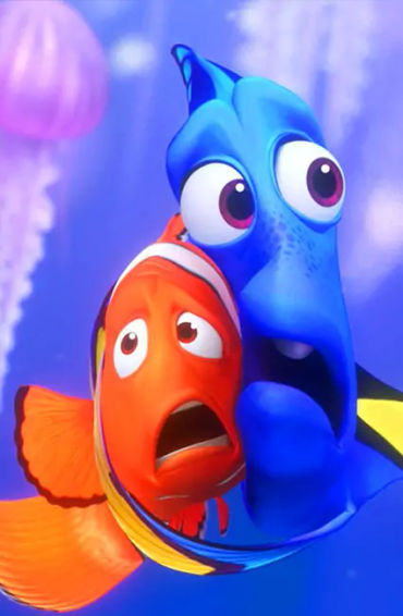 finding nemo, australian, marine biologists, pet rats, clownfish