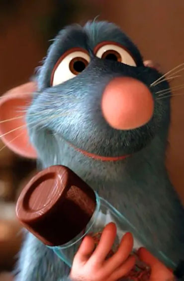 rats, pets, loveable, movie, hollywood, animated, ratatouille, culinary, vermin
