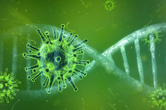Coronavirus Pandemic