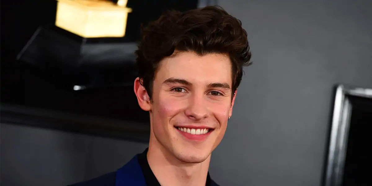 shawn mendes singer
