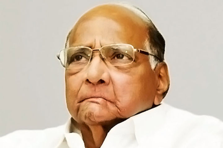 sharad pawar said maha vikas aghadi fought the 2024 assembly elections together