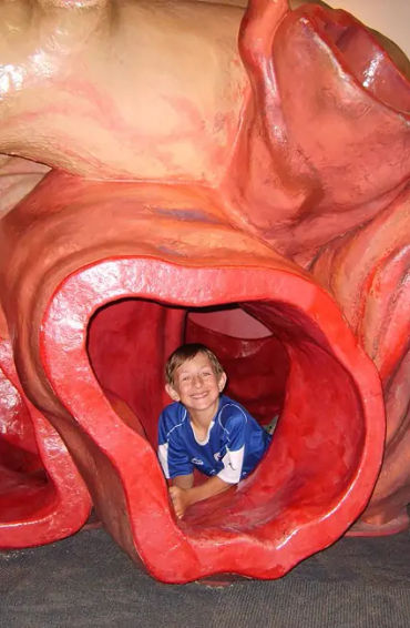 bluewhale, creature, dwarfing, dinosaurs, swim, human, livingcreature, vitalorgans