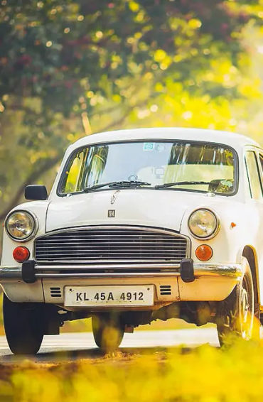 automobile, races, WWII, formulaone, valentinopark, turin, italy, alfaromeo, drugfueled, champion, g