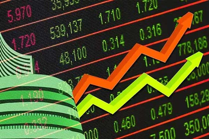Share Market Share Market
