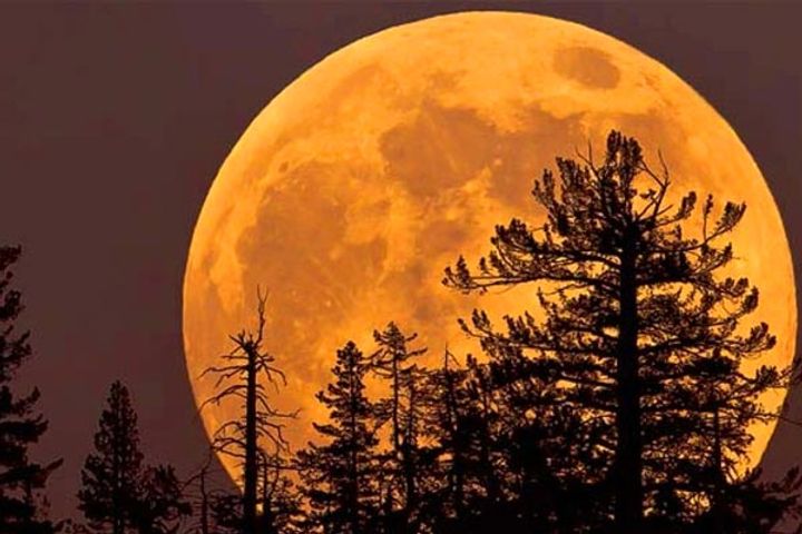 the biggest supermoon of the year was shown the moon came closest to the earth