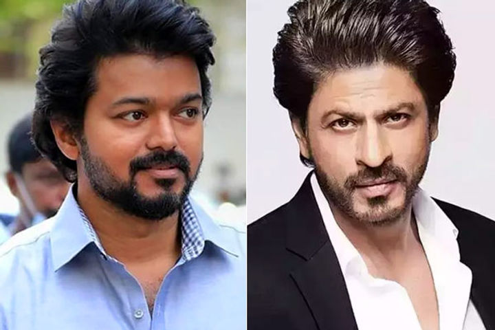 thalapathy vijay did not charge fees for shahrukh khans film jawan