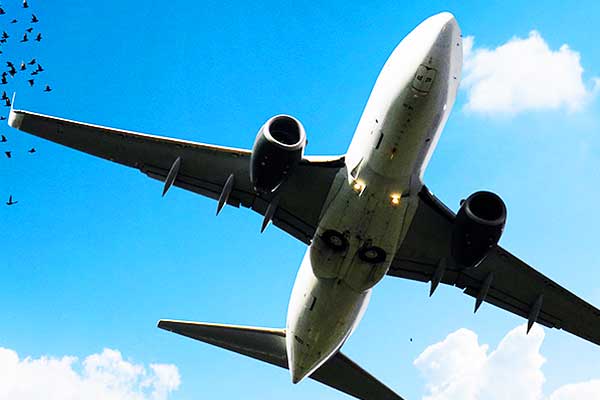 hydraulic failure in sharjah to kochi flight safe landing with 222 passengers