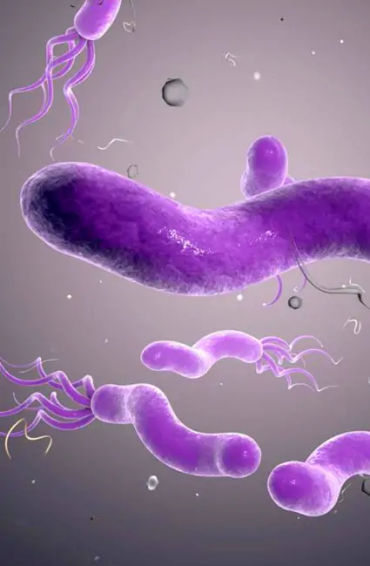 gut health, how to improve gut health, gut healthy foods, gut health supplements, best foods for gut