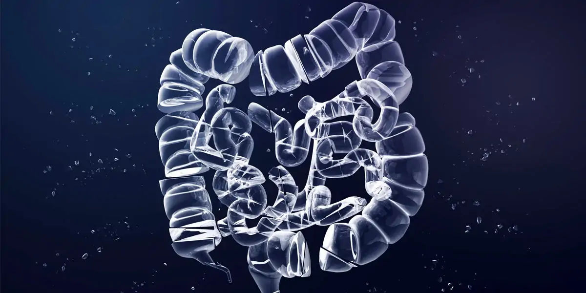 gut health, how to improve gut health, gut healthy foods, gut health supplements, best foods for gut