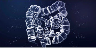 gut health, how to improve gut health, gut healthy foods, gut health supplements, best foods for gut