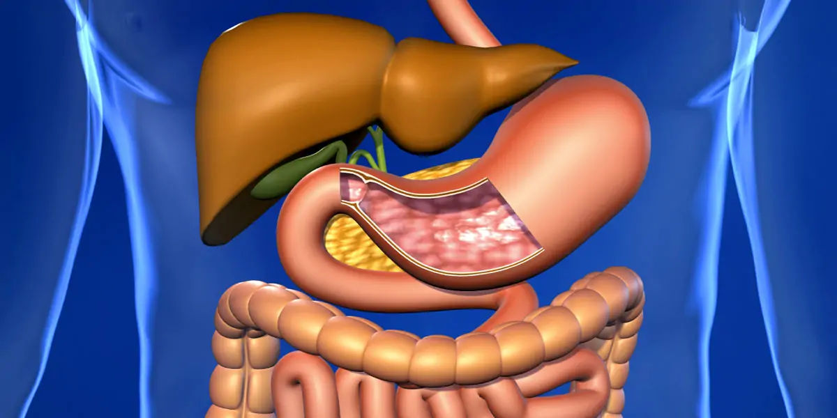 gut health, how to improve gut health, gut healthy foods, gut health supplements, best foods for gut