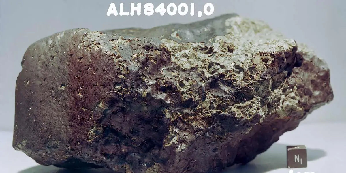 meteorite ALH84001