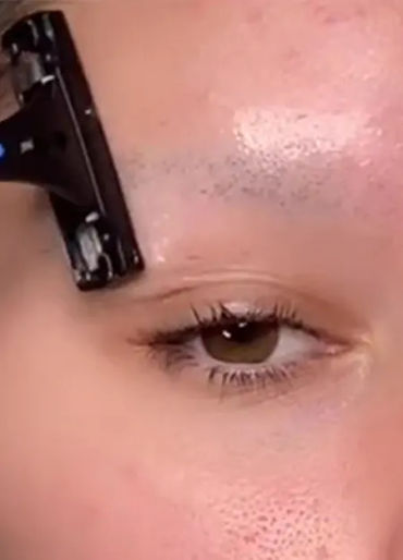 history, cat, egypt, encyclopedia, eyebrow, died, mourning, shave