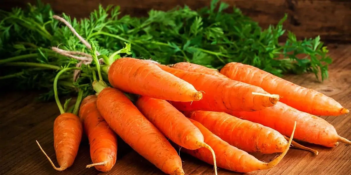 Carrots