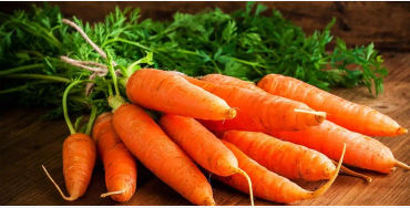 Carrots