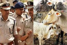 Villagers clash with police in Hanumangarh, 45 detained, curfew imposed, internet off