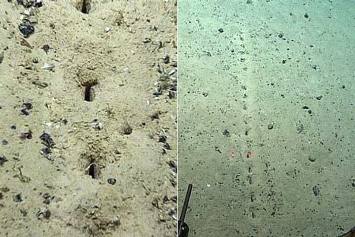 mysterious holes found in the sea surprised scientists sought help from the world people suspected a