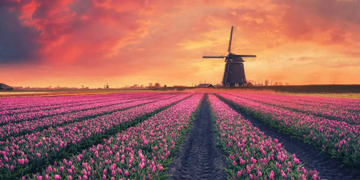 netherlands, lowlands, europe, zuidplaspolder, vaalserberg hill, airport