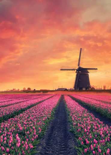 netherlands, lowlands, europe, zuidplaspolder, vaalserberg hill, airport