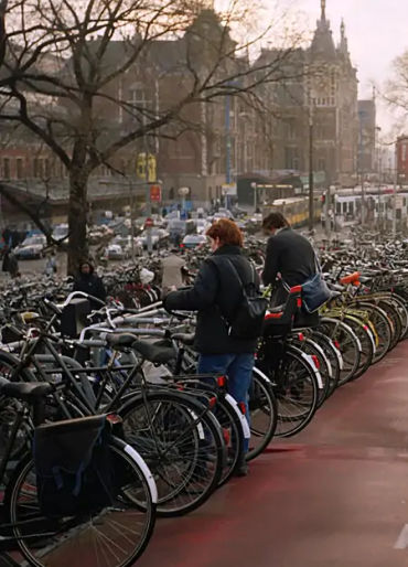 netherlands, bicycle, country, ditch, cycling