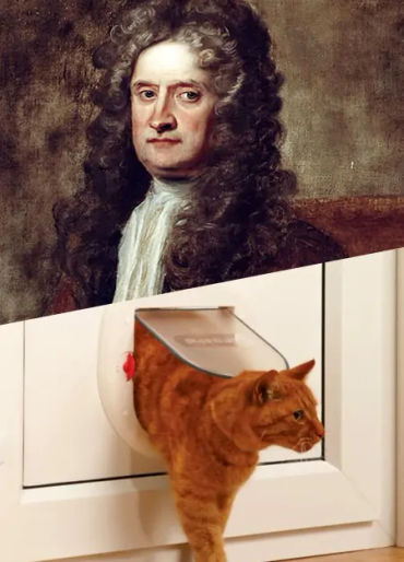 cat, stubbs, mayor, alaska, talkeetna, legislative, elections, tourist