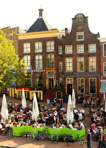 Netherland, home birth, birth, child, motherrlands, bicycle, country, ditch, cycling