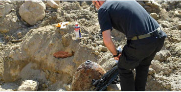 Unexploded Bombs 