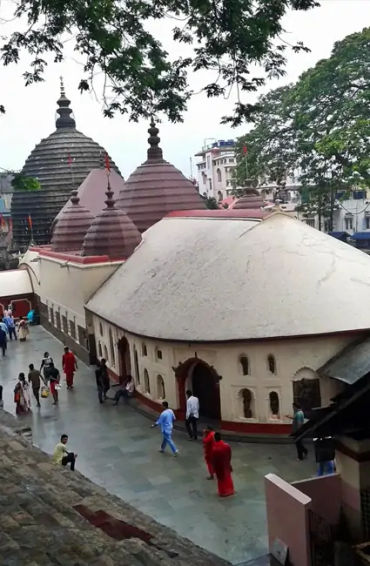 brahmaputra, assam, mahabaahu, muga, cruise, jorhat