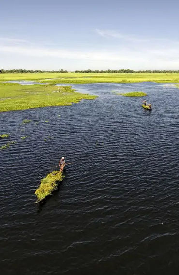 manchester, assam, mekhela chadors, gamosas, kamrup