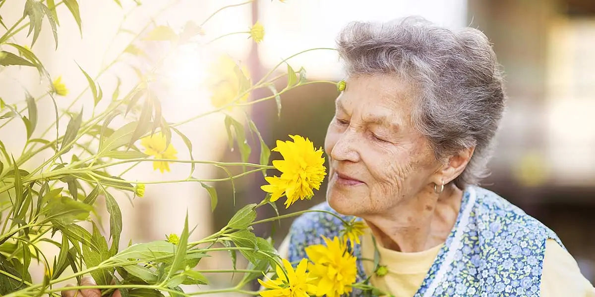 Alzheimer, disease, senior citizens, dementia, unpaid carers