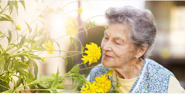 Alzheimer, disease, senior citizens, dementia, unpaid carers